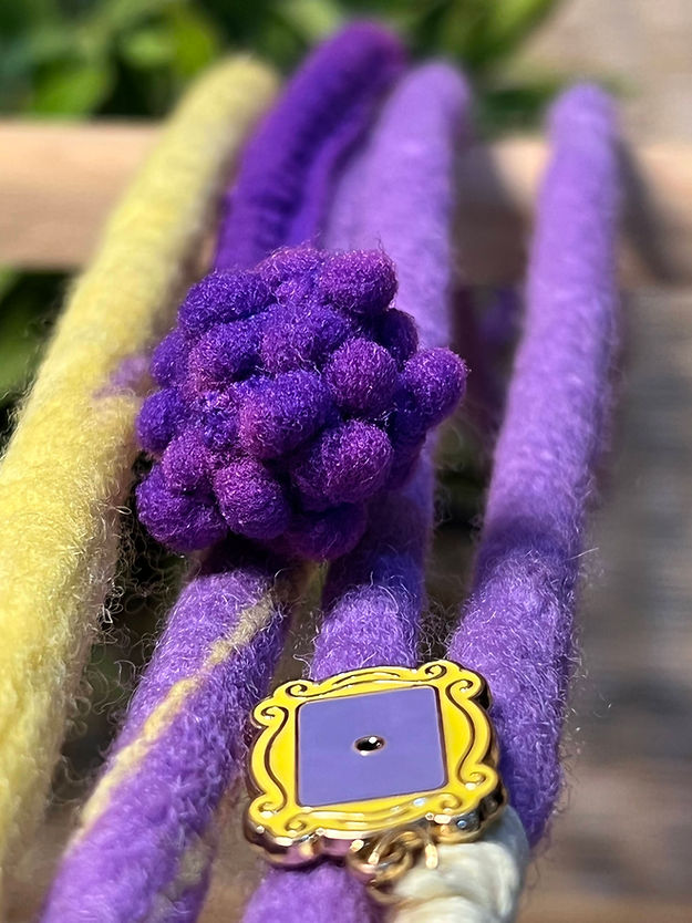 THE DOOR TO F•R•I•E•N•D• S